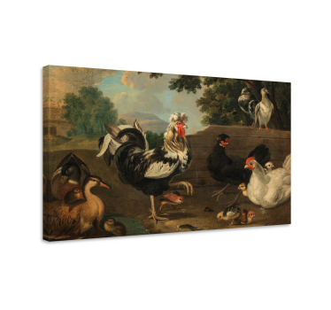 Tableau oiseaux rassemblement de coqs de ferme - TenStickers