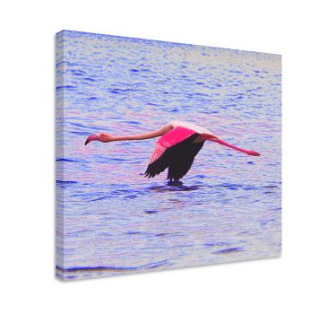 Tableau poissons flamants en vol - TenStickers