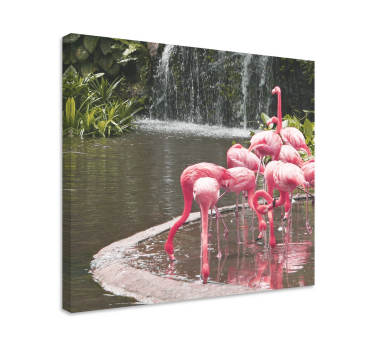 Tableau oiseaux flamants au bord de la piscine - TenStickers