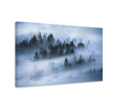Tableau paysages forêt de pins brumeuse - TenStickers