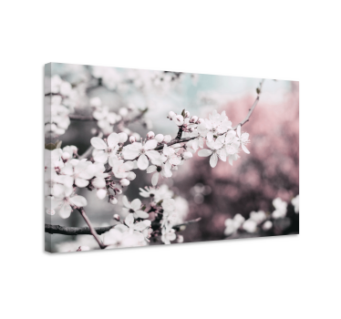 Tableau fleurs et plantes fleur de cerisier blanche - TenStickers