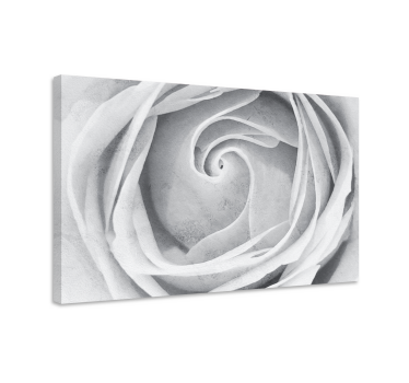 Tableau fleurs et plantes spirale de roses élégante - TenStickers