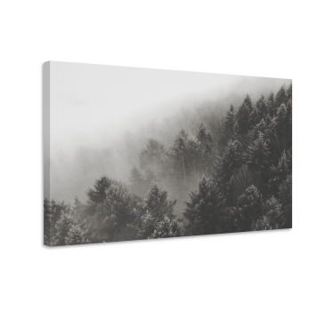 Tableau en 3d Forêt de pins blancs - TenStickers