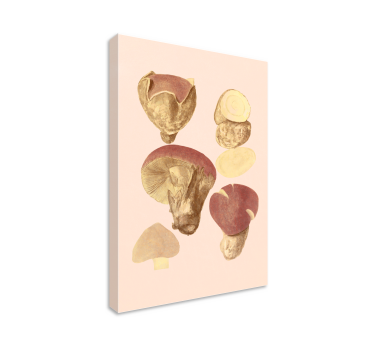 Tableau fleurs et plantes collection de champignons - TenStickers