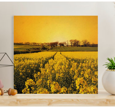 Tableau fleurs Champ de fleurs jaunes - TenStickers