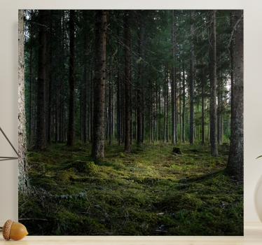 Tableau arbres profondeurs de forêt sereine - TenStickers