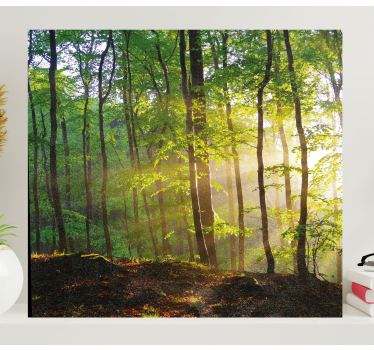 Tableau arbres scène de forêt ensoleillée - TenStickers