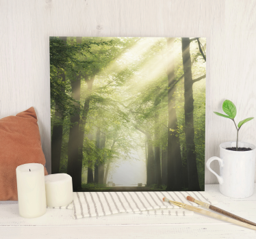 Tableau arbres sentier forestier brumeux - TenStickers