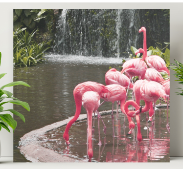 Tableau oiseaux flamants au bord de la piscine - TenStickers