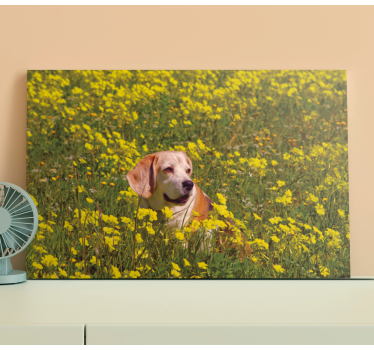 Tableau chiens heureux chien en plein air - TenStickers
