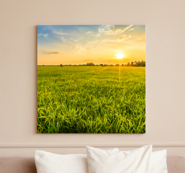 Tableau paysages coucher de soleil sur les champs - TenStickers