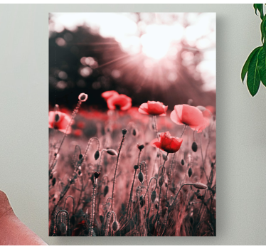 Tableau fleurs et plantes Éclat de coquelicots - TenStickers
