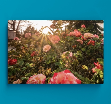 Tableau fleurs et plantes fleurs de rose radieuses - TenStickers