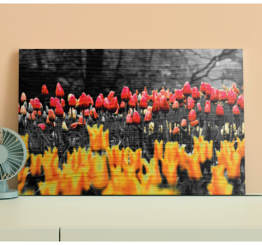 Tableau fleurs et plantes jardin de tulipes colorées - TenStickers