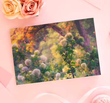 Tableau fleurs et plantes prairie florale - TenStickers