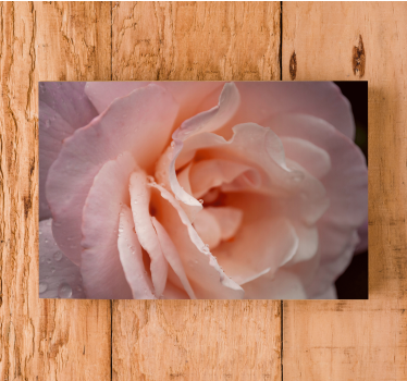 Tableau fleurs et plantes rose délicate en fleurs - TenStickers