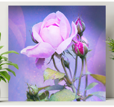 Tableau fleurs et plantes rose en pleine floraison - TenStickers