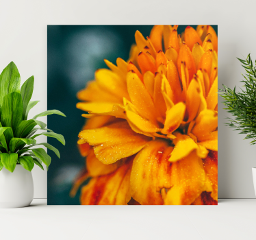 Tableau fleurs fleur d'orange vibrante - TenStickers
