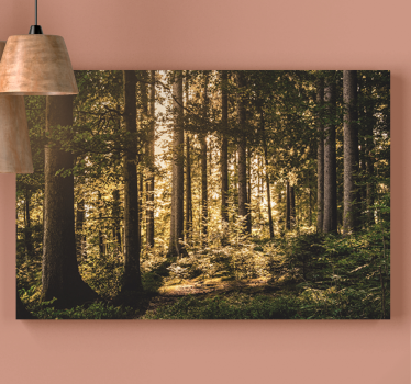 Tableau paysages forêt lumineuse - TenStickers