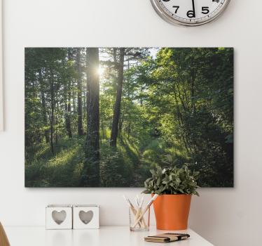 Tableau paysages sentier forestier illuminé - TenStickers