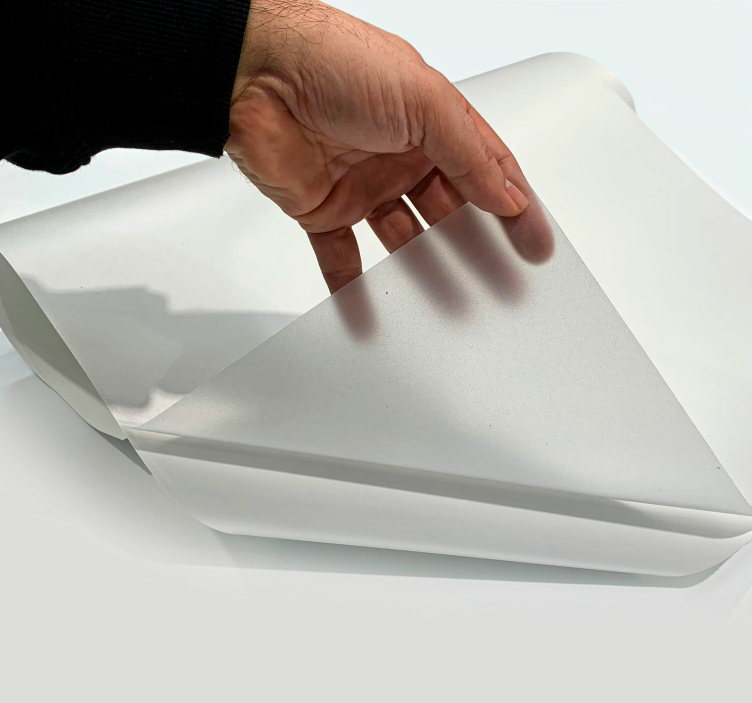 Sticker fenêtre translucide - TenStickers