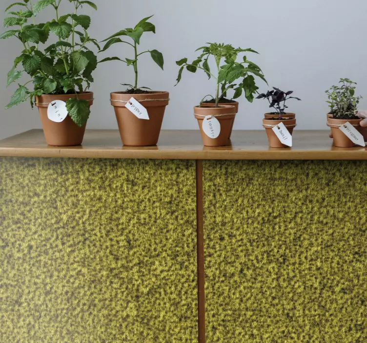 Sticker plante collection d'herbes en pot - TenStickers