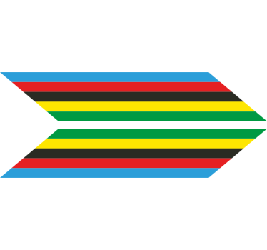 Autocollant vélo flèches couleurs champion du monde - TenStickers