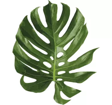 Sticker feuille plante - TenStickers