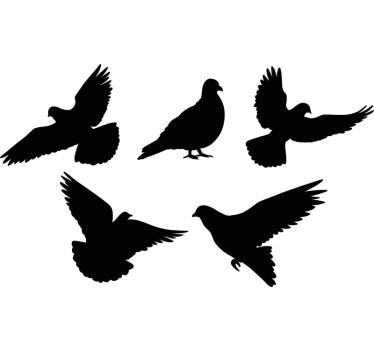 Sticker fenêtre anti-collision des oiseaux - TenStickers