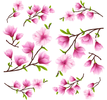 Sticker fenêtre fleurs de magnolia colorées - TenStickers