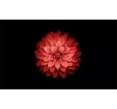 Sticker meuble Ikea table fleur rouge - TenStickers