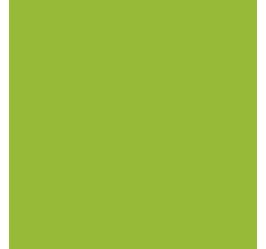 Sticker couleur uni vert clair mat - TenStickers