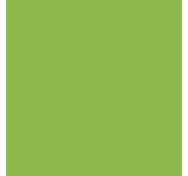 Sticker couleur uni vert mat - TenStickers