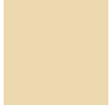 Sticker couleur uni ivoire mat - TenStickers