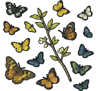 Sticker fenêtre motif de papillons verts - TenStickers