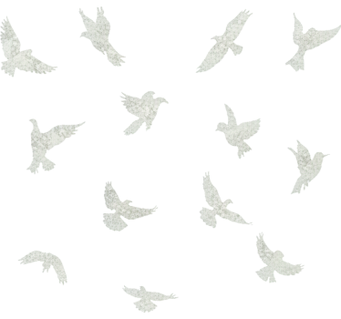 Sticker fenêtre oiseaux romantiques - TenStickers