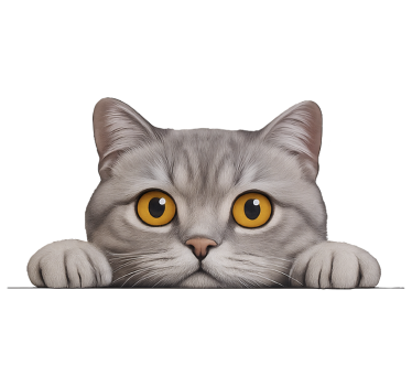 Sticker fenêtre chat curieux qui espionne - TenStickers