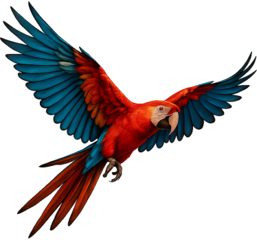 Sticker fenêtre oiseau tropical - TenStickers