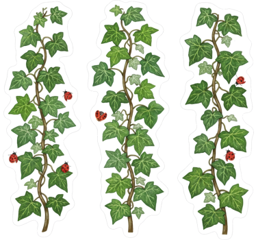 Sticker fenêtre mélange de vignes de jardin - TenStickers