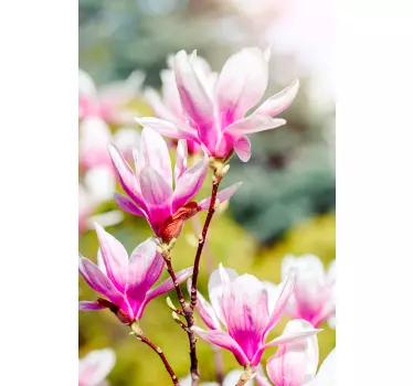 Sticker fenêtre adhesiffleurs magnolia - TenStickers