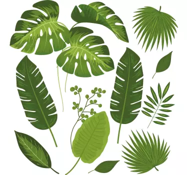 Sticker mural salon plante variété de feuilles - TenStickers