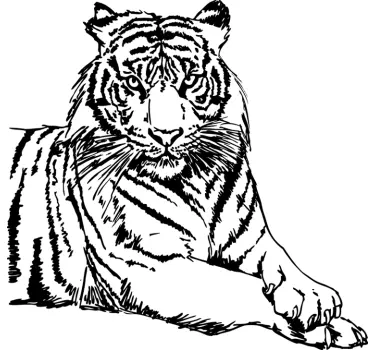 Sticker décoratif tigre - TenStickers