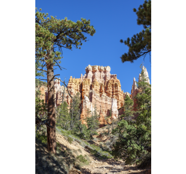 Sticker frigo vue naturelle ciel bleu - TenStickers