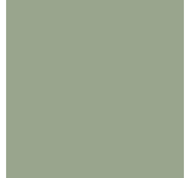 Sticker Mural Unie Vert sauge - TenStickers