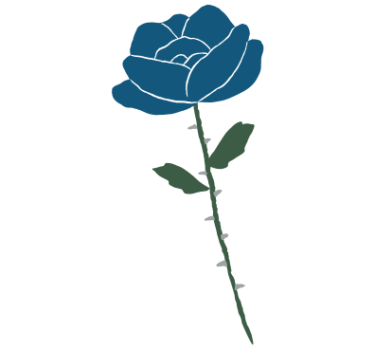 Autocollant vélo rose bleue délicate - TenStickers