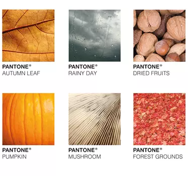 Sticker mural nature couleurs de l'automne - TenStickers