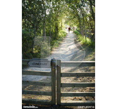 Photo murale chemin de promenade - TenStickers