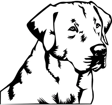 Sticker mural salon silhouette labrador - TenStickers