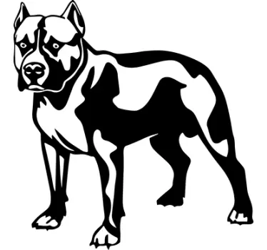 Sticker pitbull - TenStickers