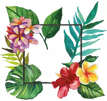 Sticker plantes tropicales - TenStickers